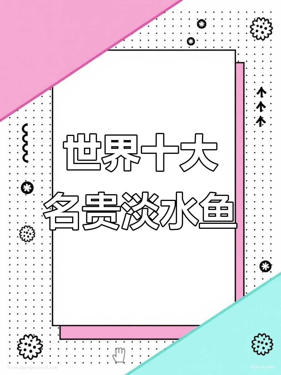 全球最昂贵的淡水鱼排名,蓝鳍金枪鱼登顶!