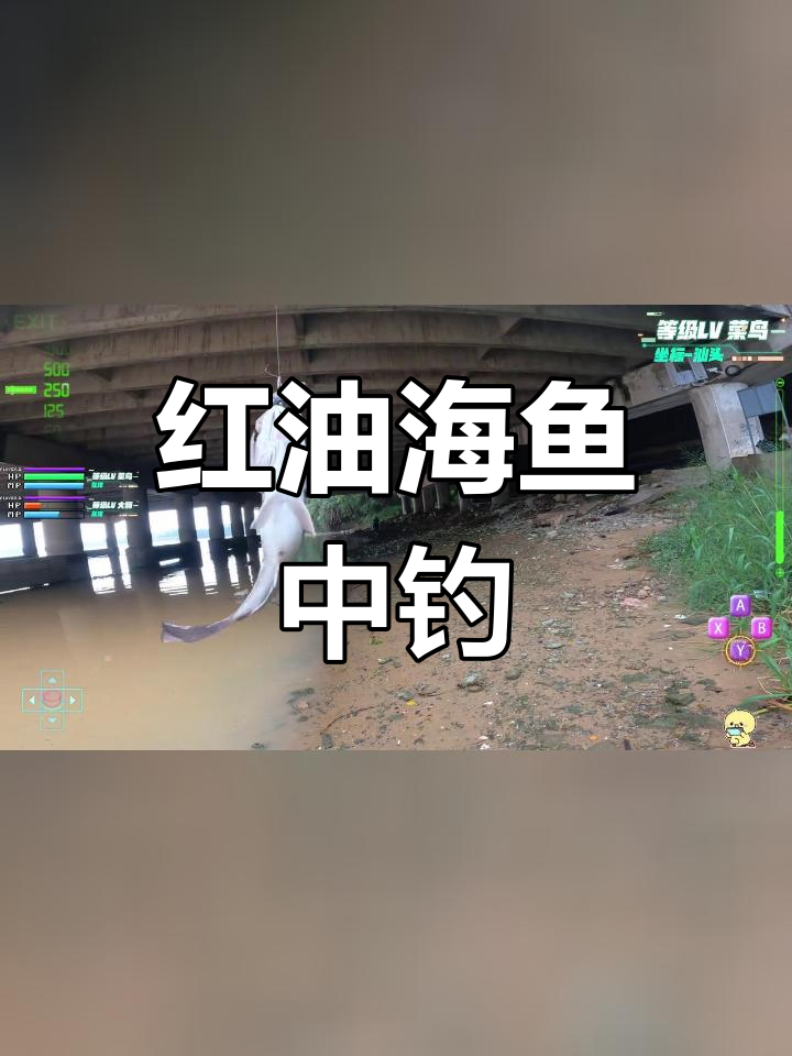 解锁海鱼红油钓鱼新体验