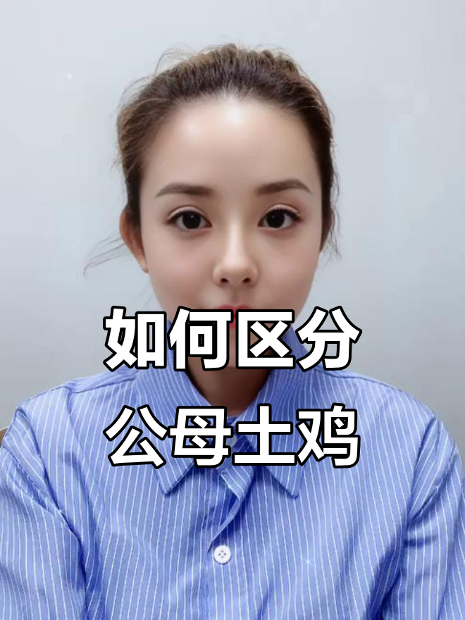 分辨公母鸡的简单方法,新手必学!