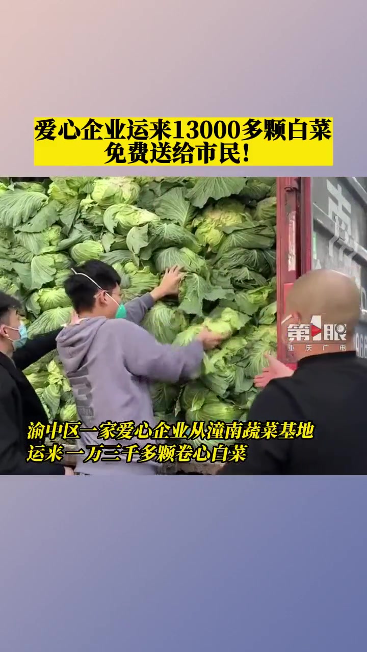11月24日,重庆。爱心企业捐赠13000多颗白菜,免费送给市民!