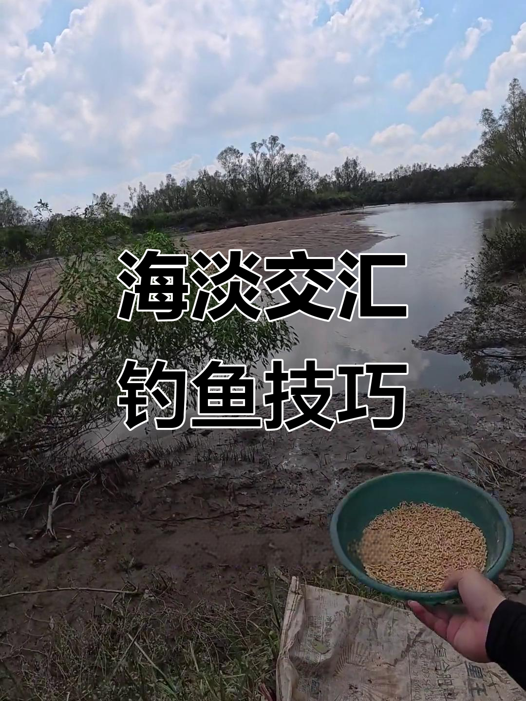 咸淡水交汇处钓海鱼，罗非饵料一招搞定