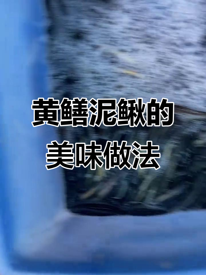 野生黄鳝泥鳅的独特功效与美味做法,农村家常美食分享