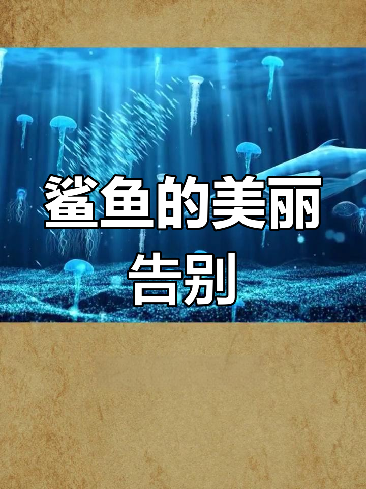 鲨鱼凉凉的秘密:它们也有一个浪漫的名字