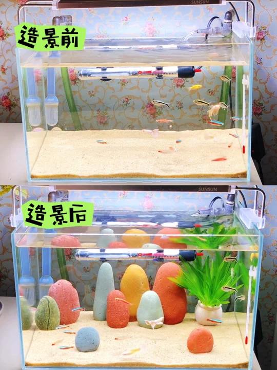 彩石造景40CM鱼缸,造景前后对比,差别很大呀