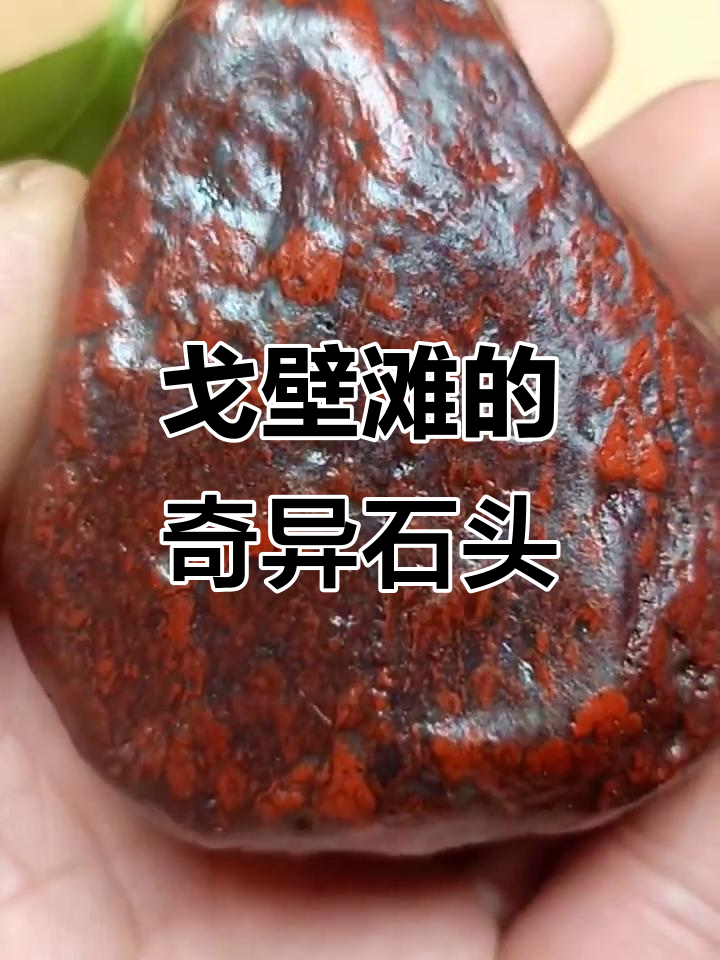 新疆戈壁滩上的神秘奇石,竟然不是鸡血石