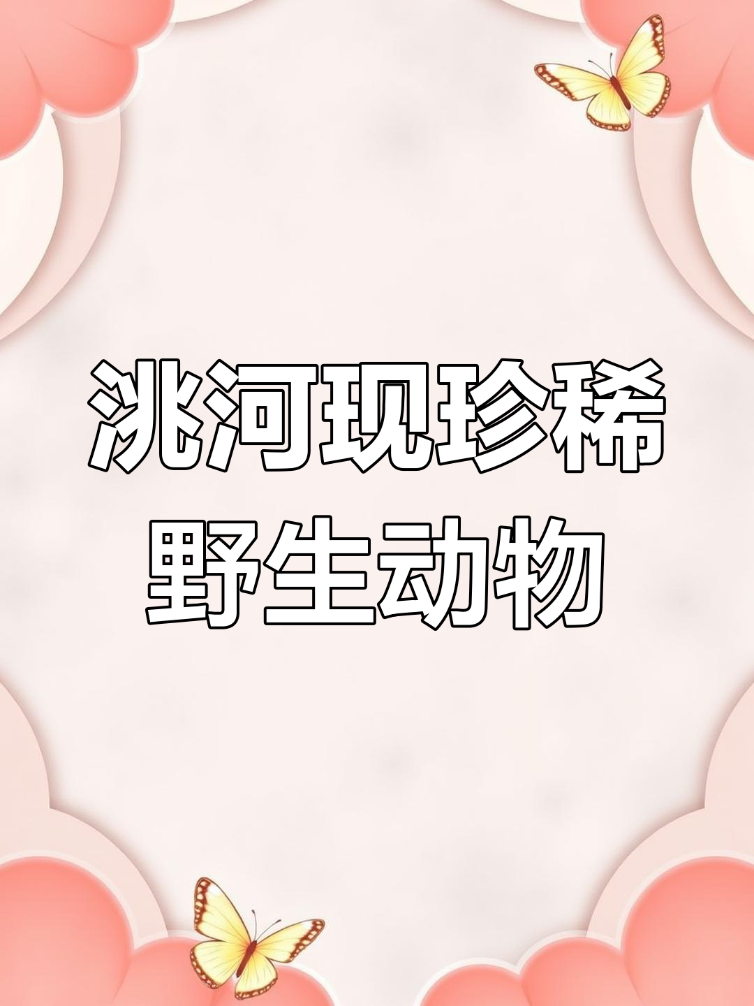 甘肃洮河保护区首次拍到国家一级保护动物