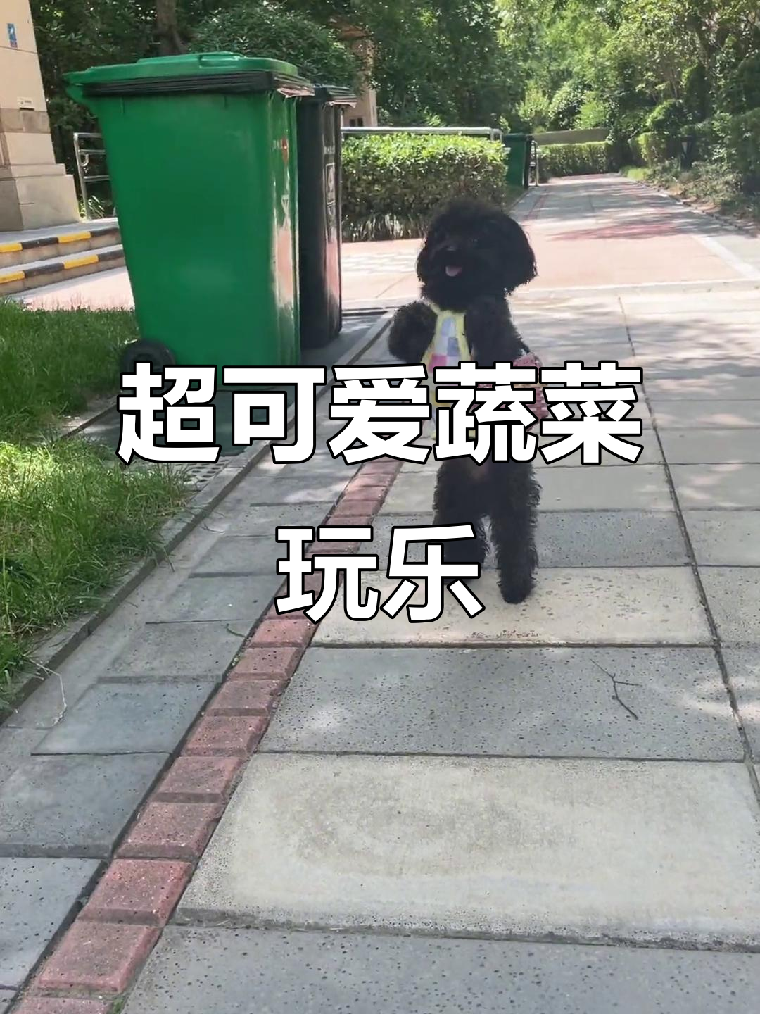 看看我们家的蔬菜宝贝,萌翻了!