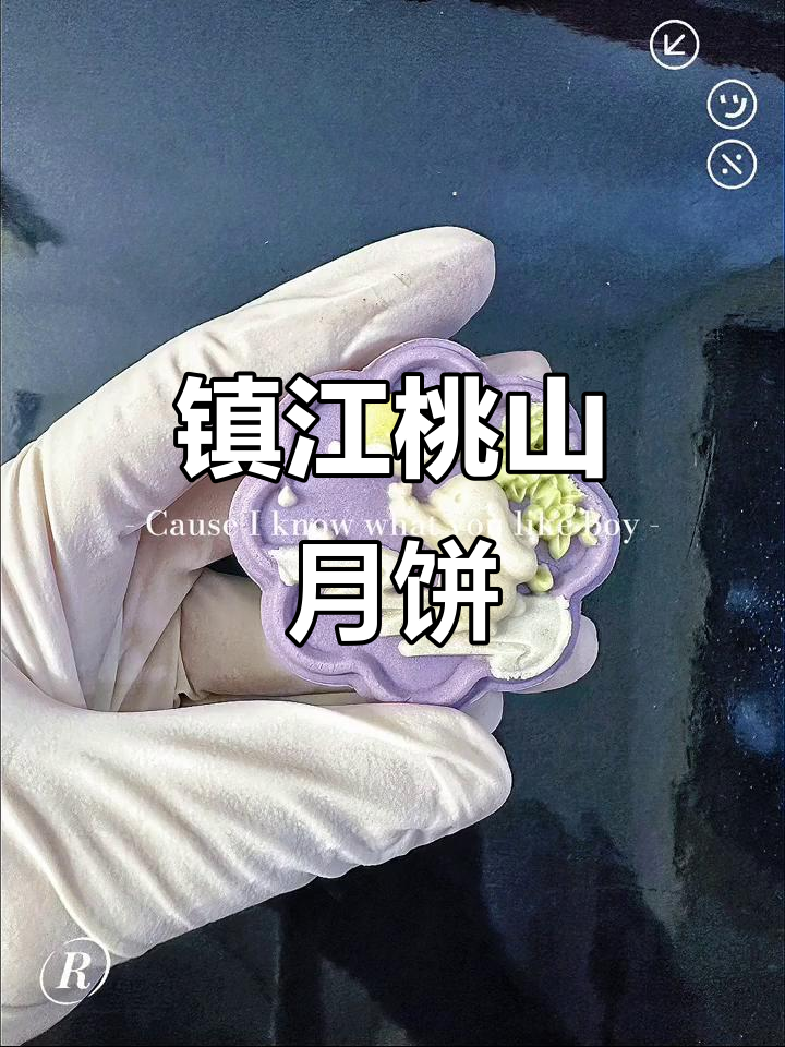镇江桃山月饼：传统美味与现代工艺的完美结合