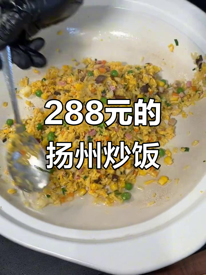 上海见世面！288元一份的扬州炒饭，竟然这么好吃