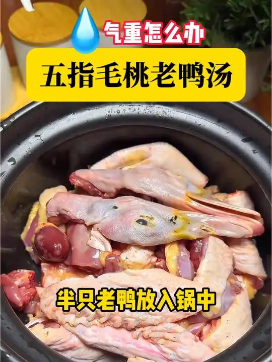 上厕所臭臭,肚子大,还整天犯困,试试这个五指毛桃老鸭汤
