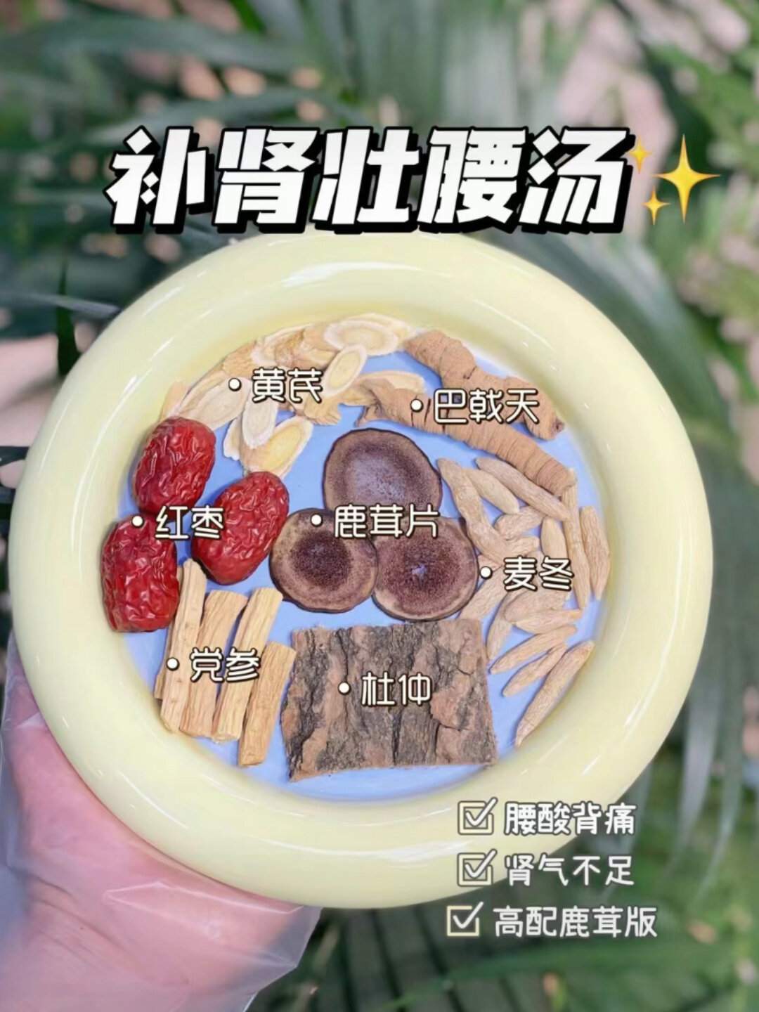 鹿茸煲汤,越喝越健康