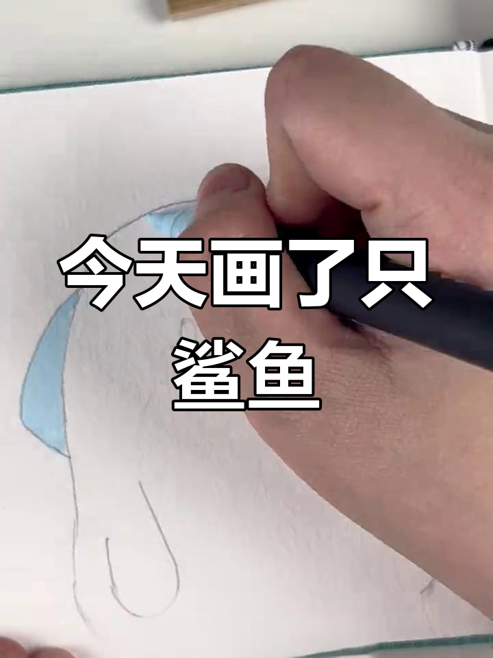 猫咪陪伴下画鲨鱼,粉丝突破一千