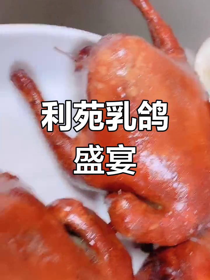 尝过香港利苑的乳鸽吗?白土镇等你来品!