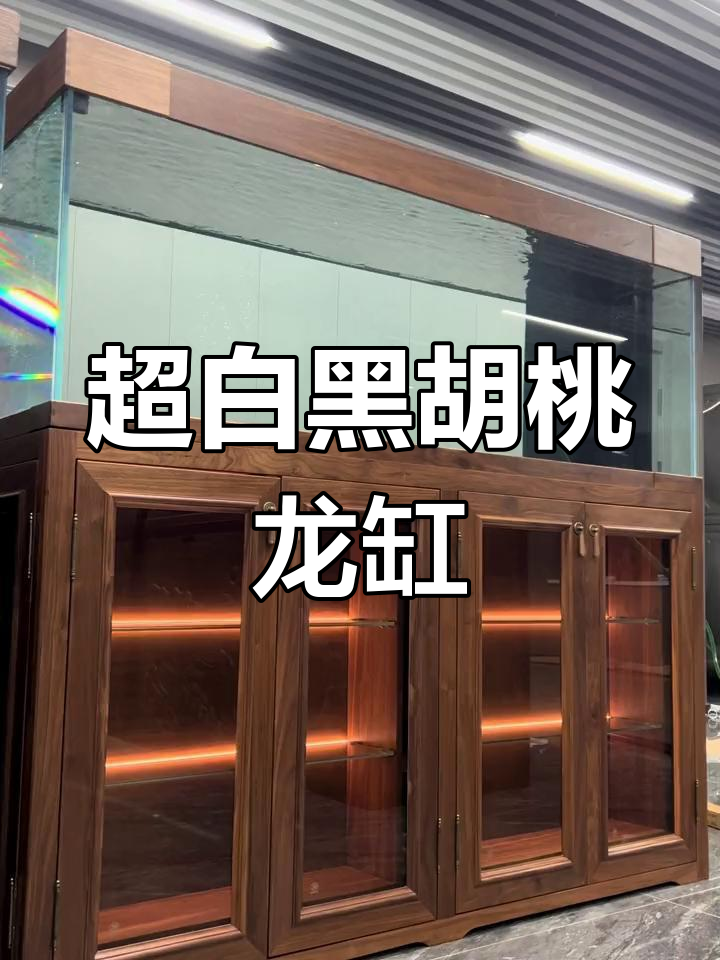 北美黑胡桃龙缸,超白鱼缸设计,三面开门底柜配置