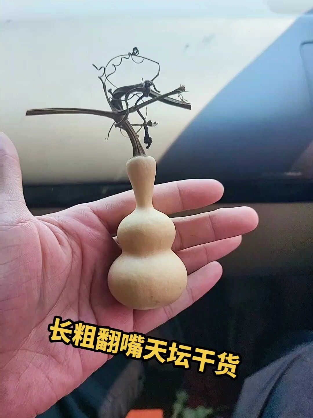 长粗翻嘴天坛干货八宝葫芦