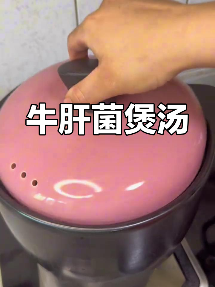 牛肝菌炖鸡汤,香气扑鼻,滋补又美味