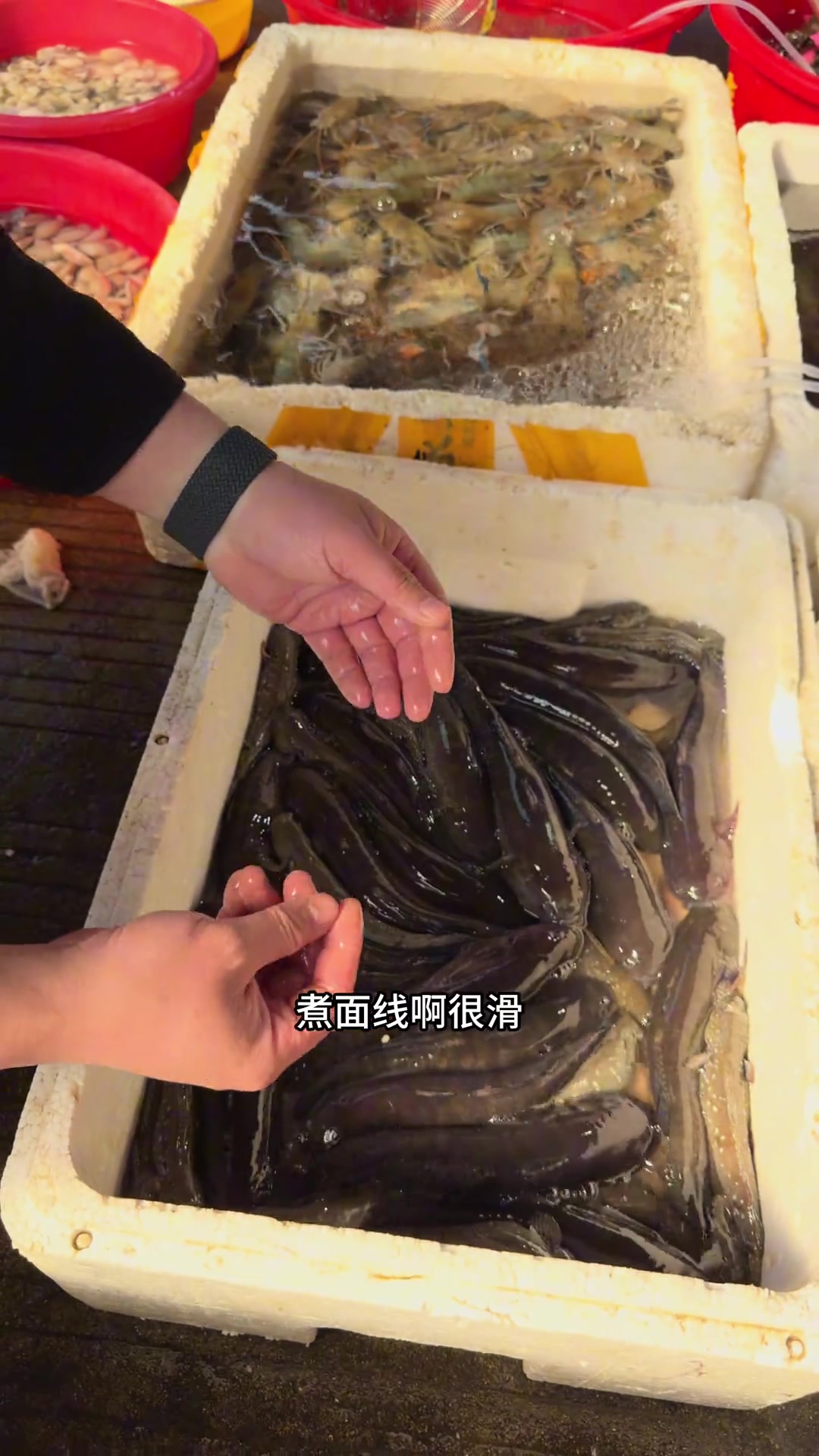 闽南渔港挑海鲜,角美市场海鲜超新鲜