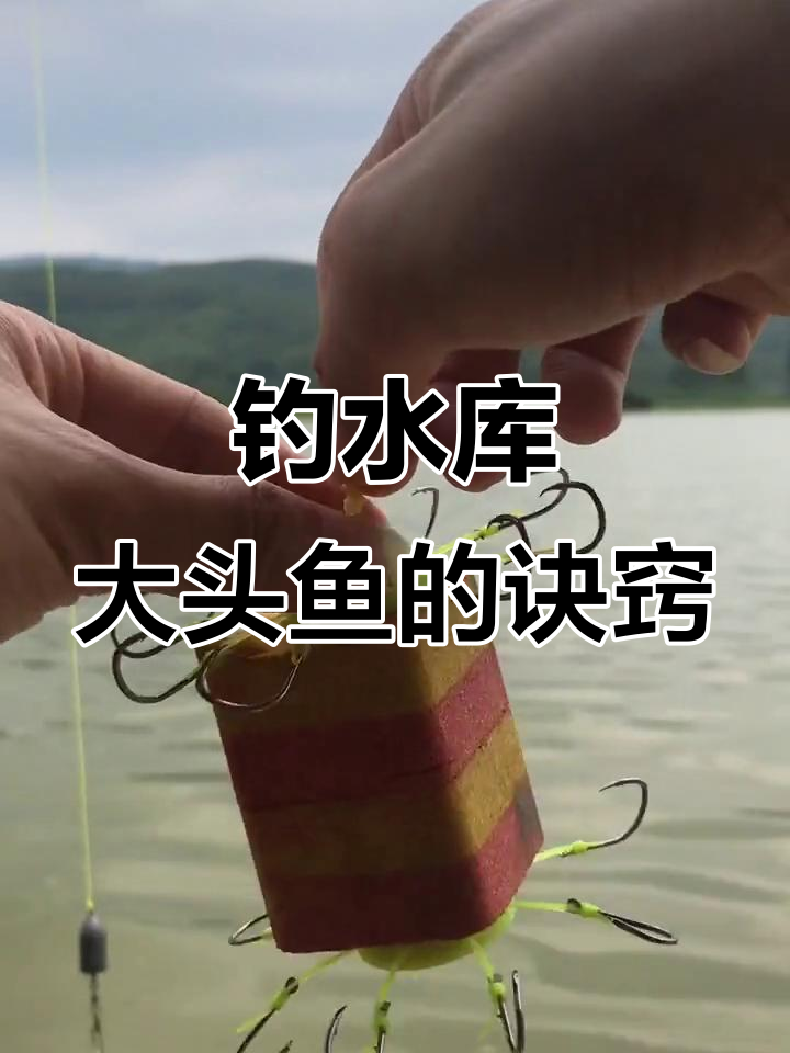水库钓大头鱼技巧,方板钩与方块饵搭配使用详解