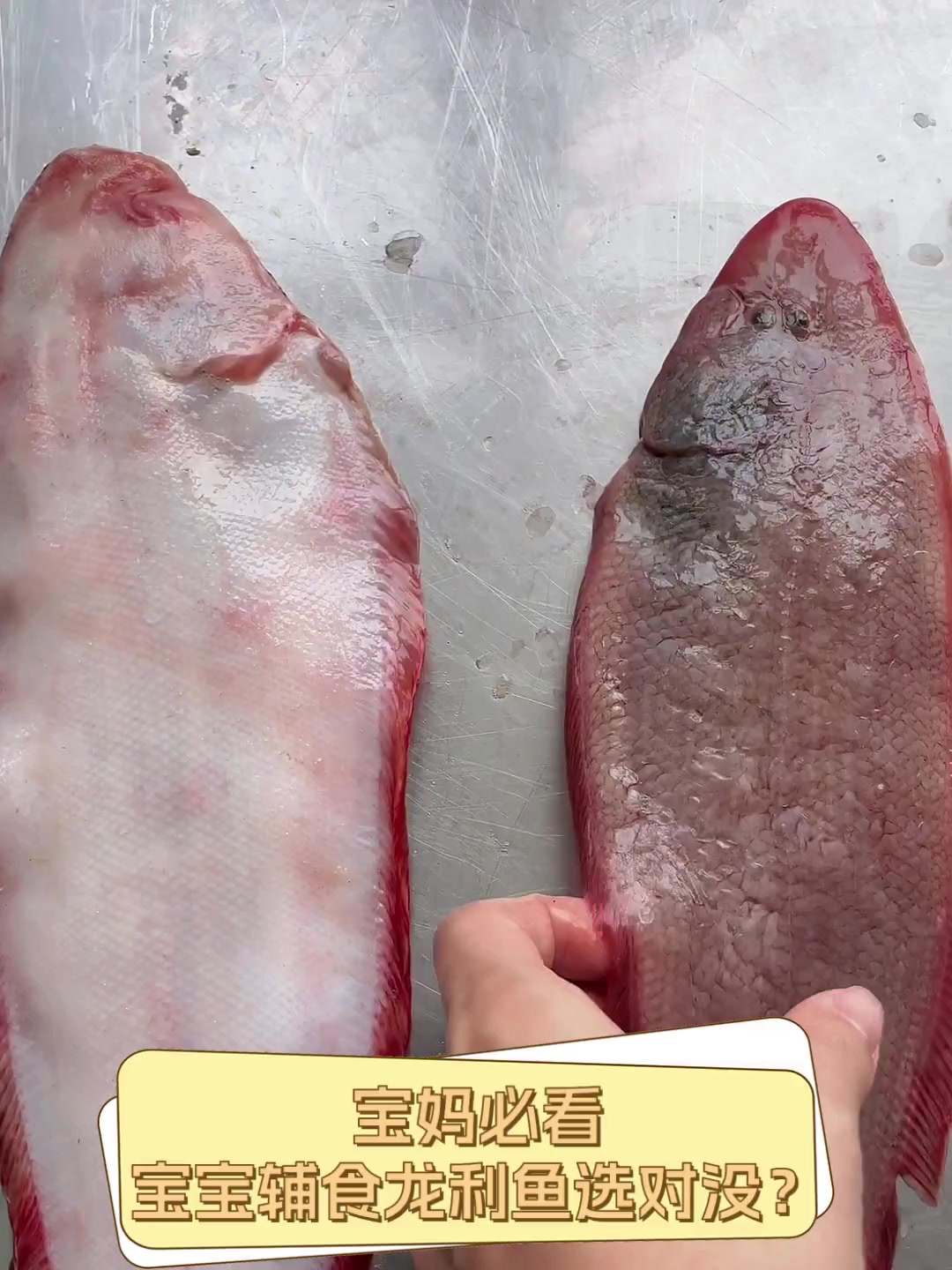 宝妈必看,宝宝辅食龙利鱼选对没?