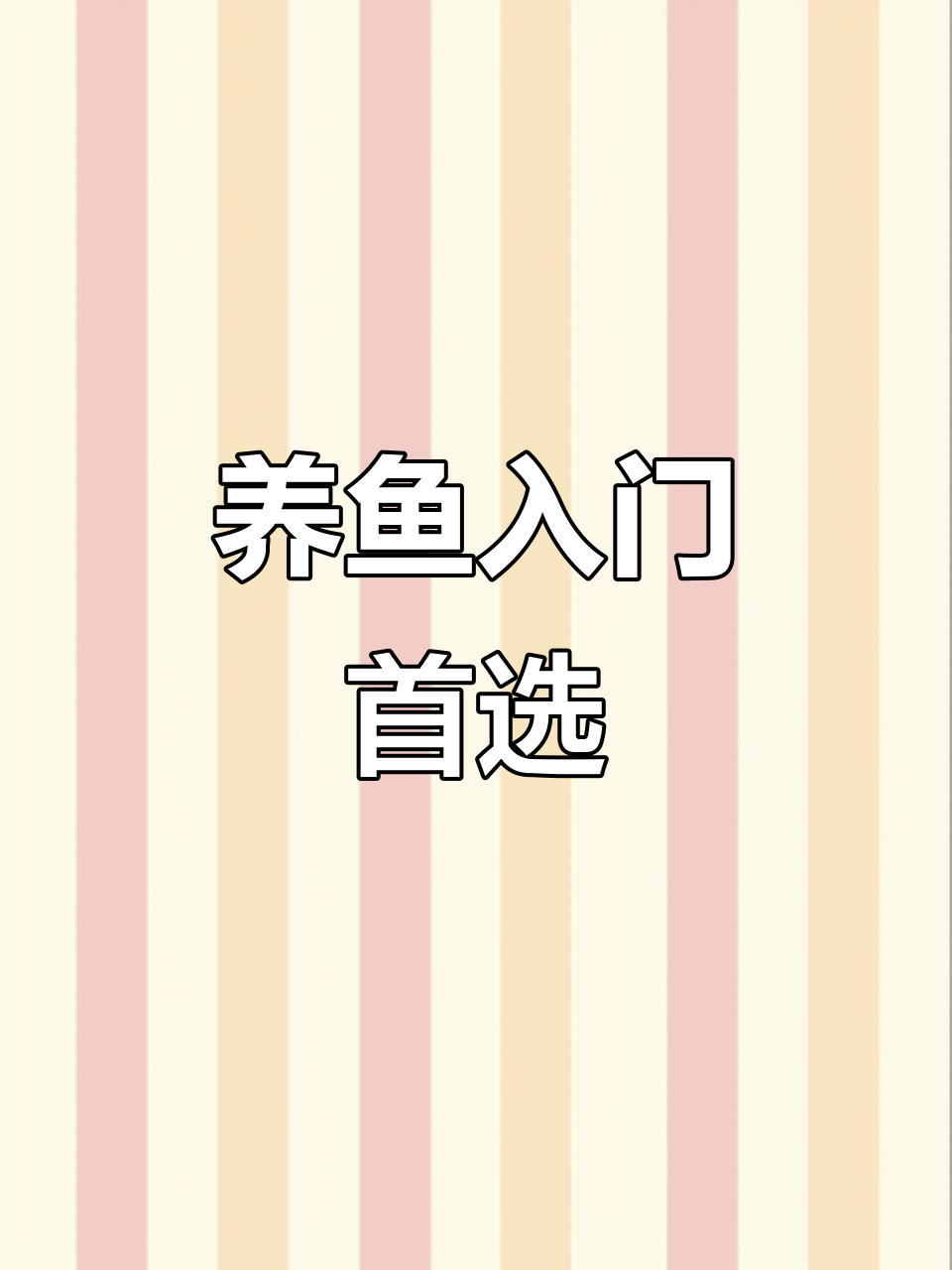 适应性强,适合各阶段养鱼者,轻松上手的好选择