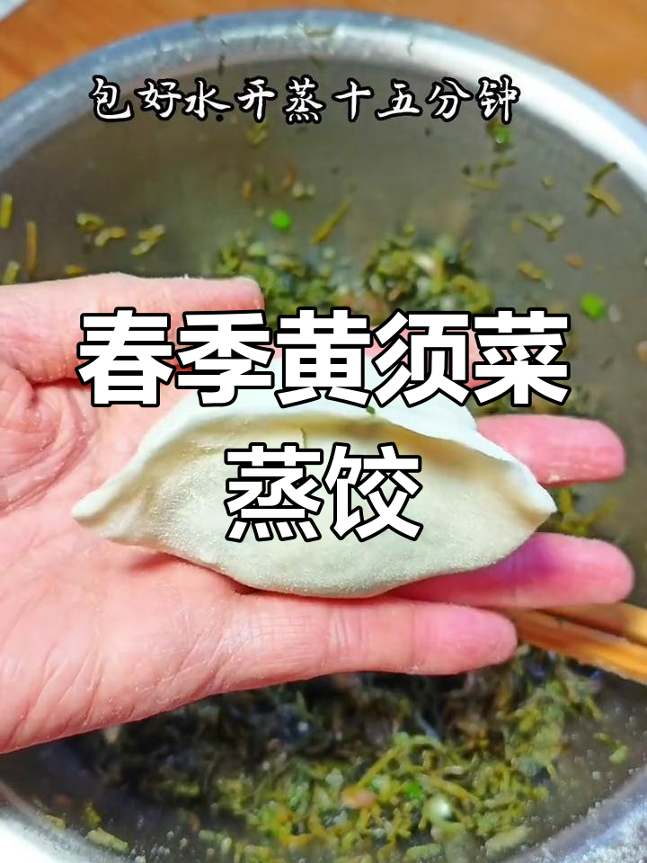 黄须菜蒸饺,春日美味,皮薄馅大,香气扑鼻!
