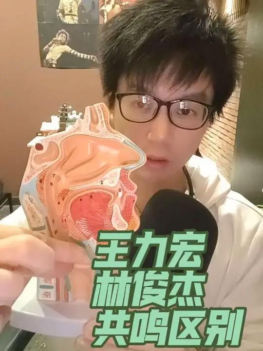 vsm嗓音科学肌肉训练法配合气声平衡sls 王力宏林俊杰的发声底层逻辑区别