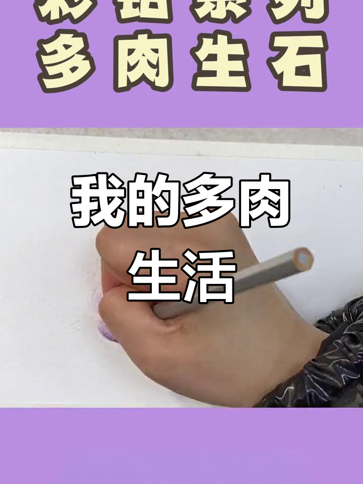 多肉植物的坚韧与美丽