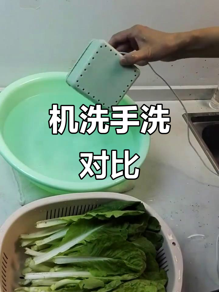 洗菜机与手洗大比拼,谁更干净?