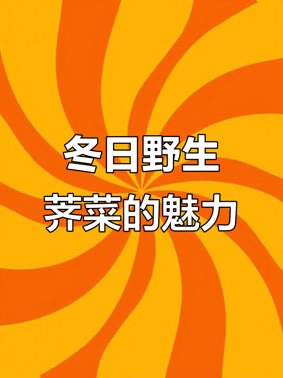 冬季荠菜比春天更香浓,带根的更好吃