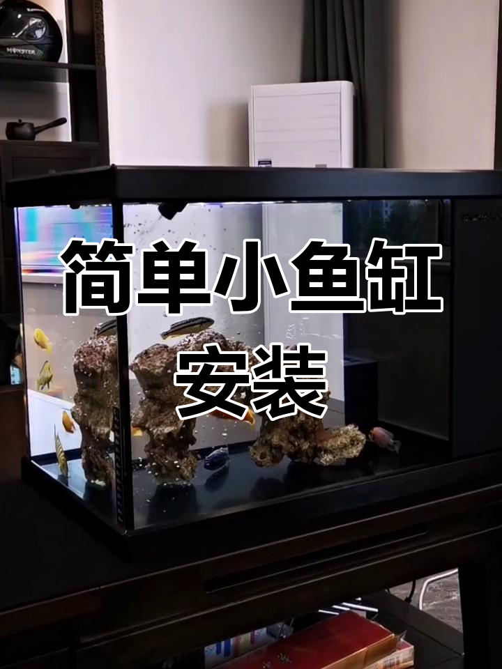 小鱼缸安装全攻略,水泵、滤材一步到位