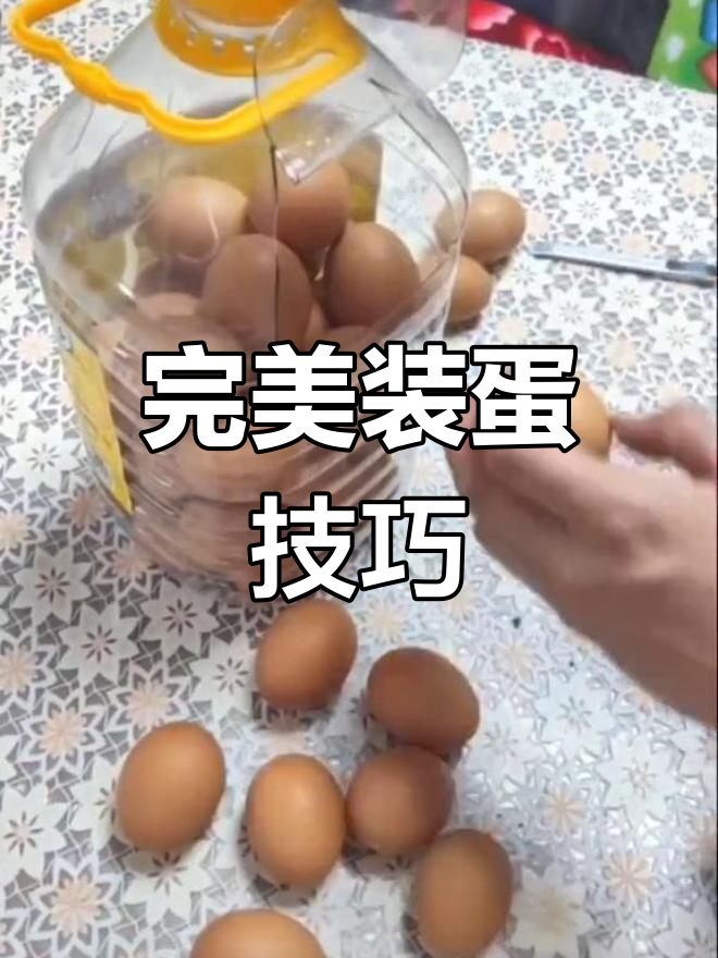 远途运输鸡蛋不碎的秘密