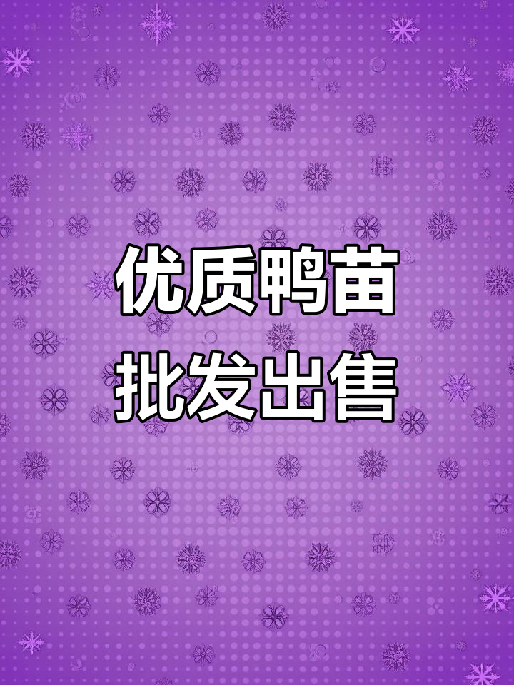 批发鸭苗,质量保证