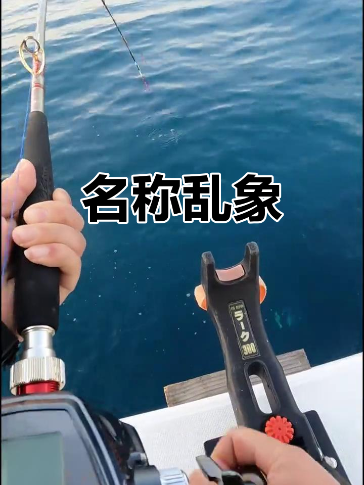 大鰤鱼名字混乱,中日称呼各不同,真是让人一头雾水