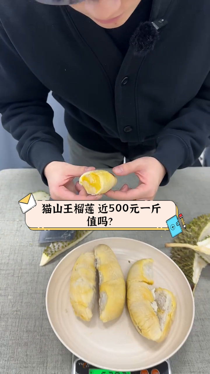 猫山王榴莲,近500元一斤,值吗?