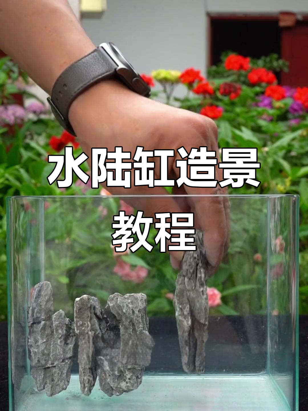 山水缸造景全攻略:从青龙石到苔藓的完美搭配