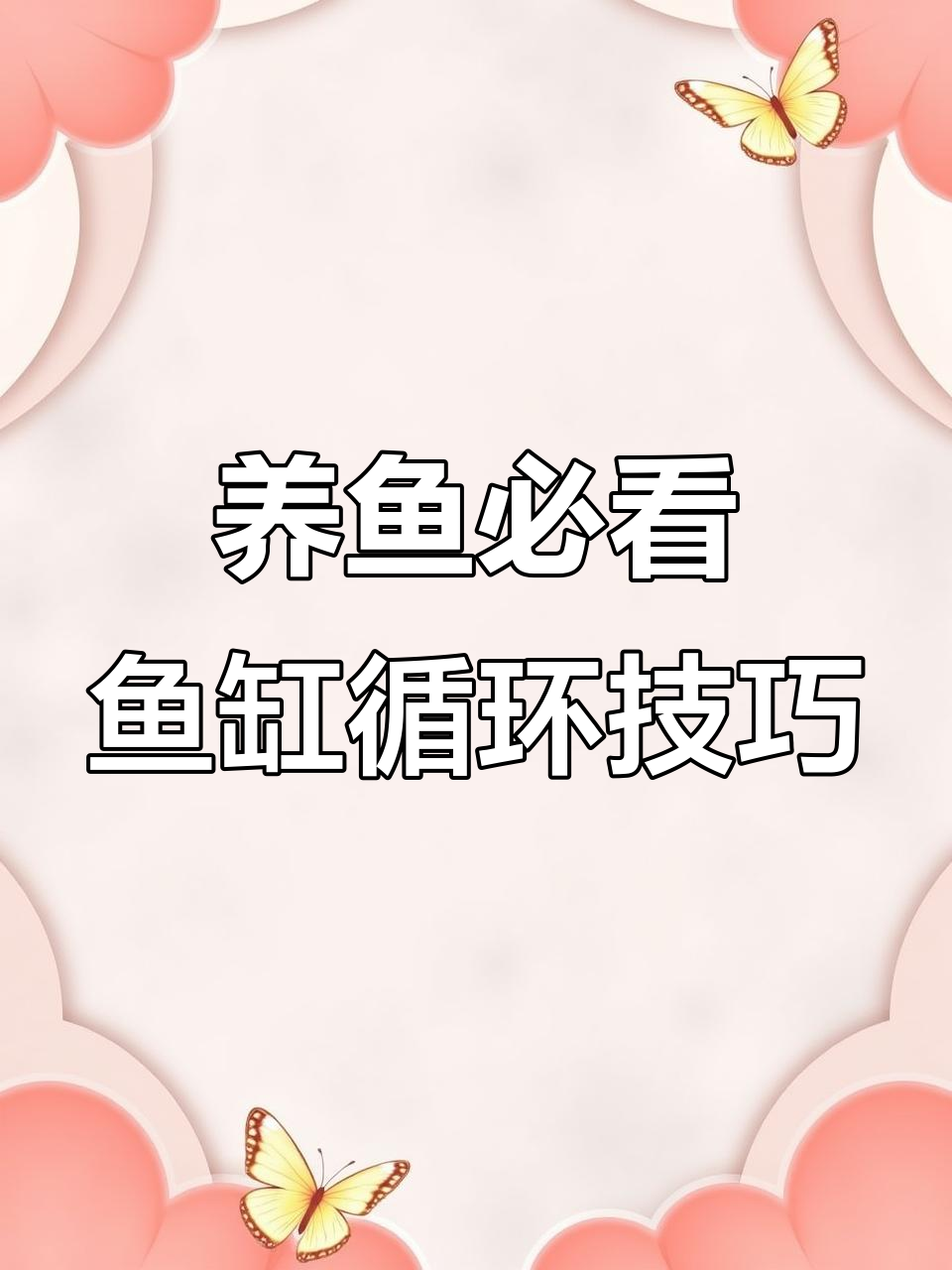 鱼缸循环系统全解析,如何避免溢流和粪便堆积