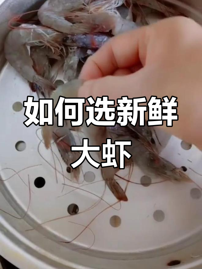 挑选新鲜大虾的秘诀,掌握这些技巧让你买到最鲜美的大虾
