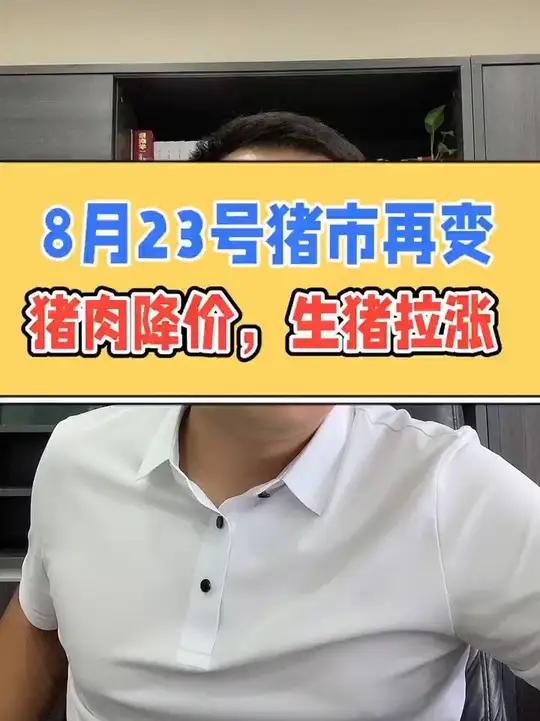 8月23号猪市再变,猪肉降价,生猪拉涨!猪价行情 养猪人不容易 养猪人