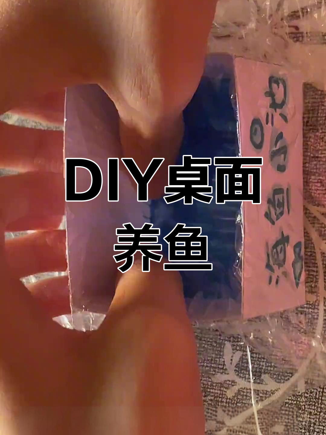 手工制作桌面鱼缸,打造专属海洋世界