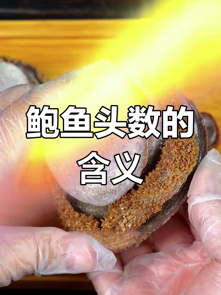 鲍鱼头数揭秘:大小与价格的关系