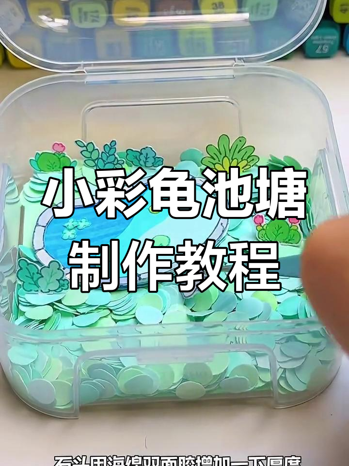一起动手做小彩龟池塘,打造可爱乌龟家园