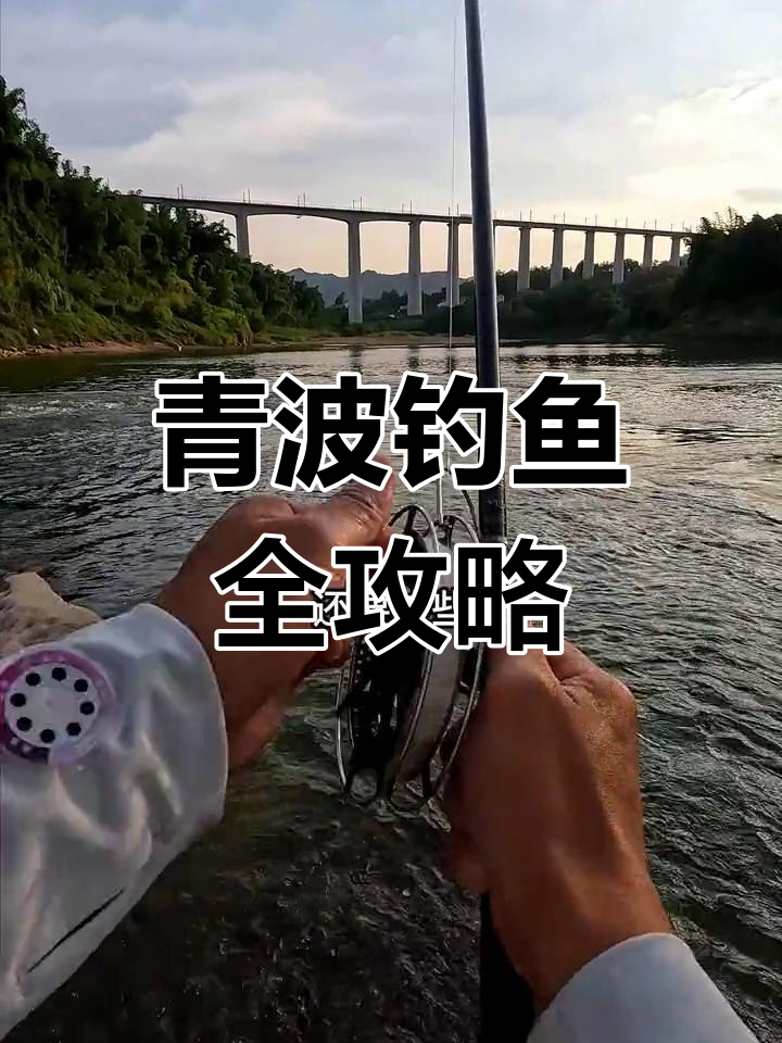 青波鱼钓法解析:急流与环水的技巧