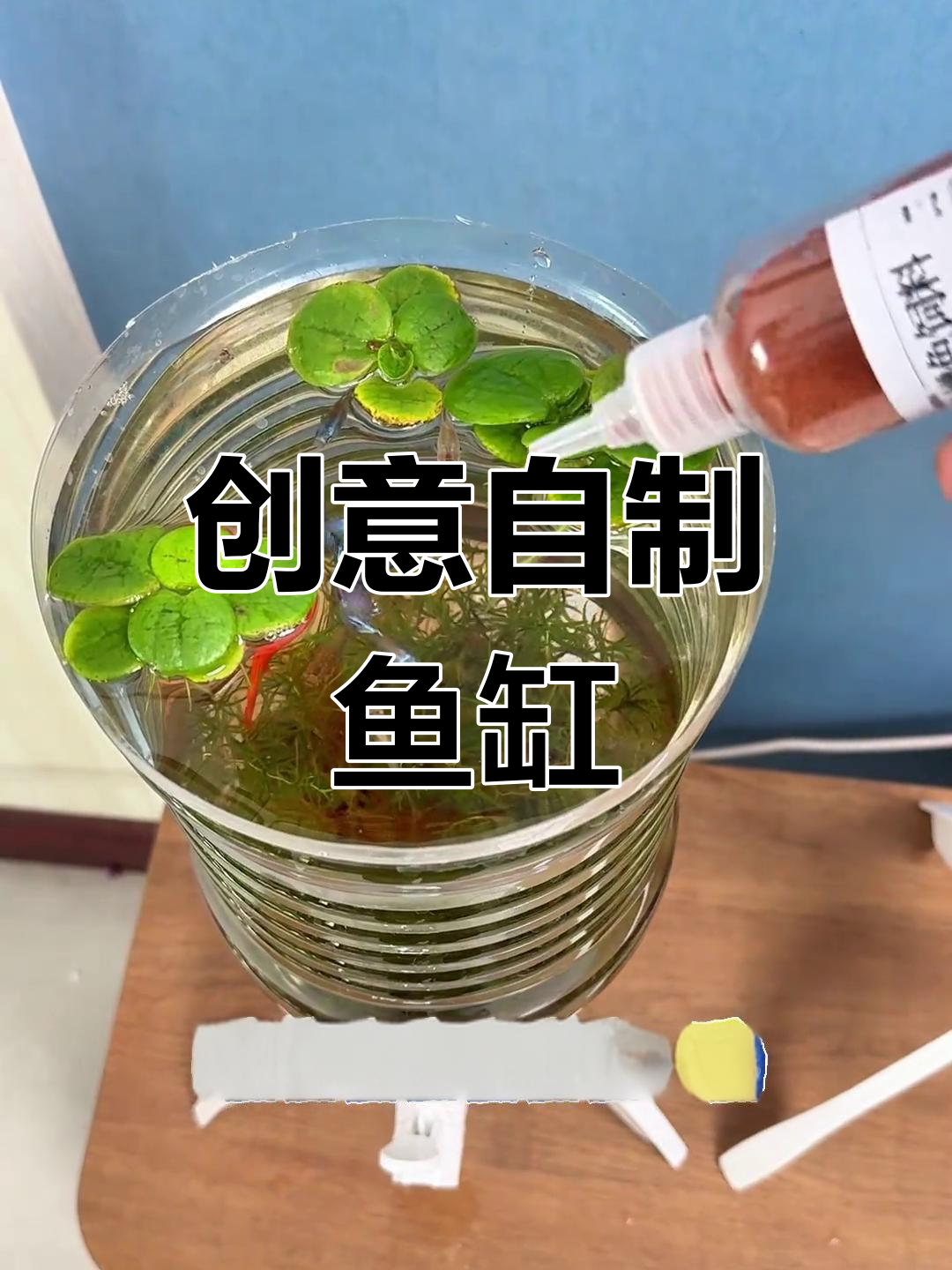 自制鱼缸,轻松换水,废物变宝,养鱼更有趣!