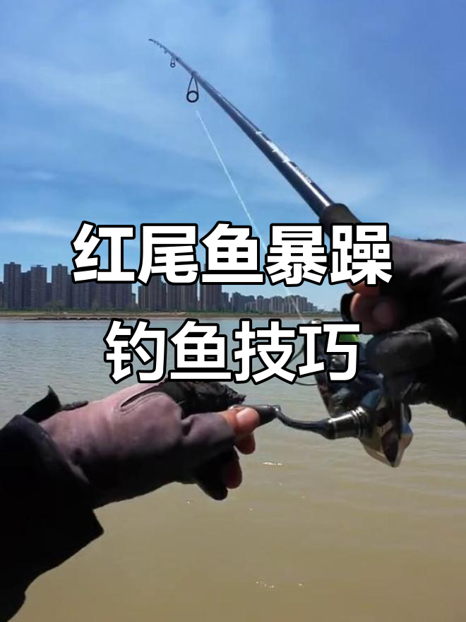 天气炎热,红尾鱼暴躁异常,路亚钓法大揭秘