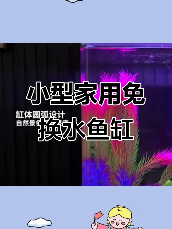 懒人必备!免换水桌面玻璃鱼缸,轻松打造家居小景观