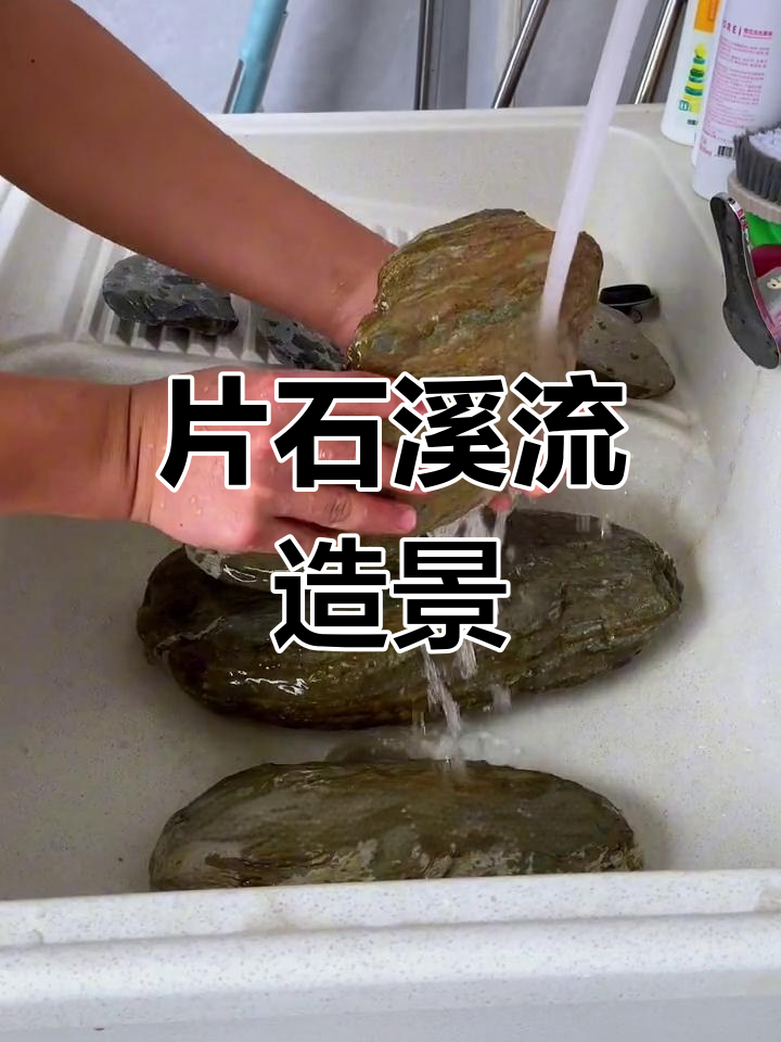 溪流缸造景新玩法,片石打造美丽景观