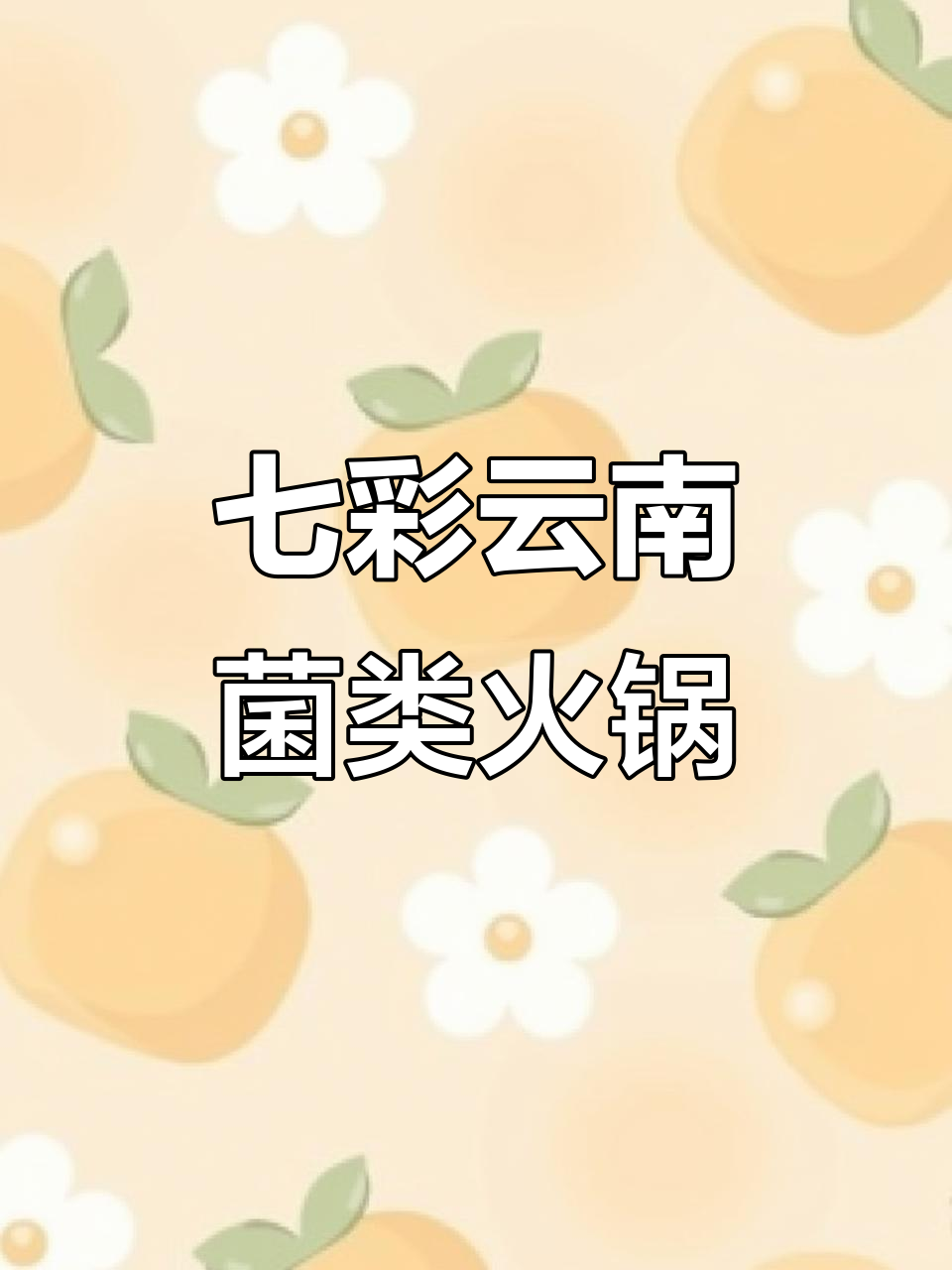 云南七彩菌菇火锅拼盘,羊肚、牛肚等美味一网打尽