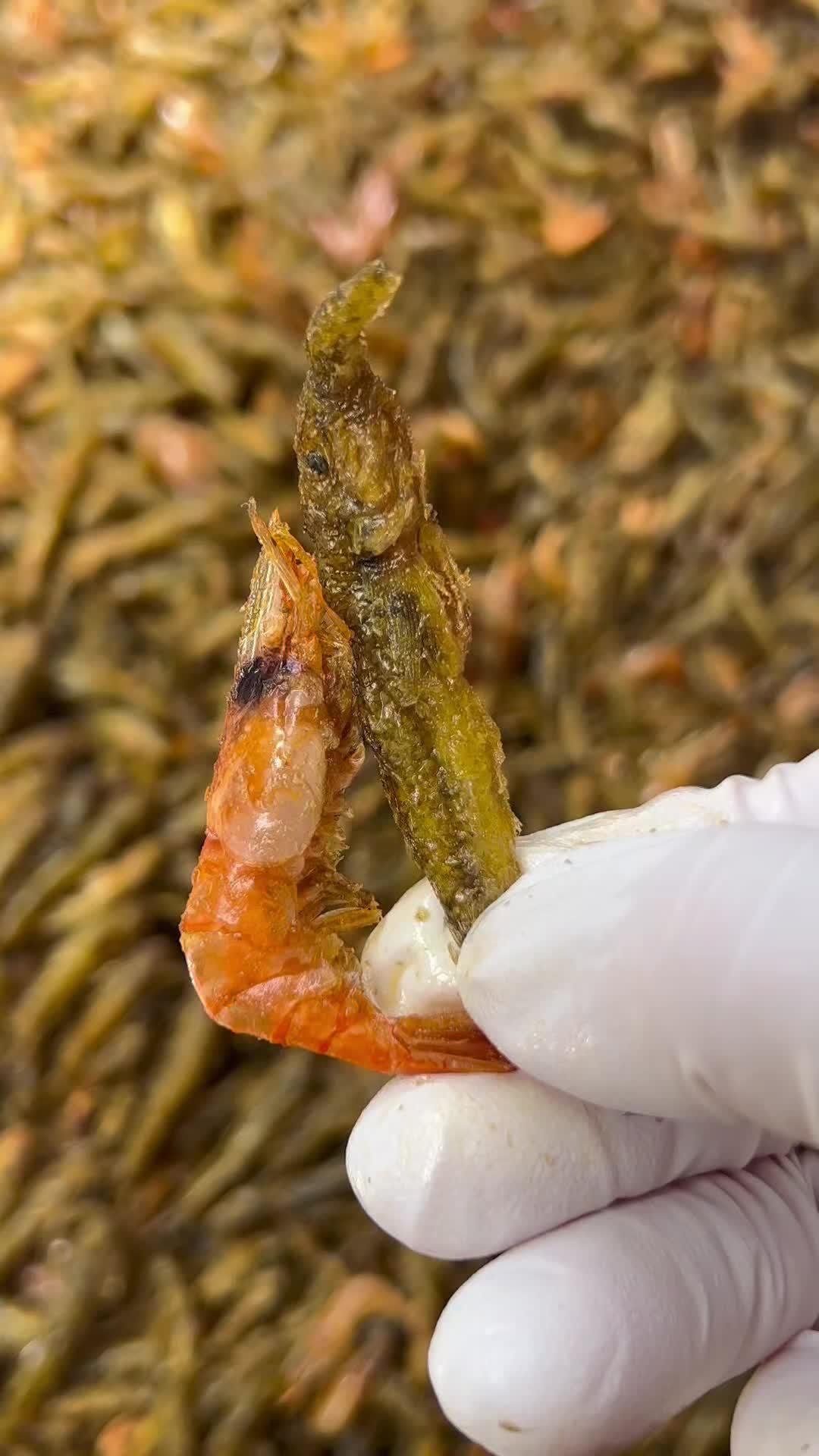 小鱼干 江山的油炸溪鱼干,想吃吗?