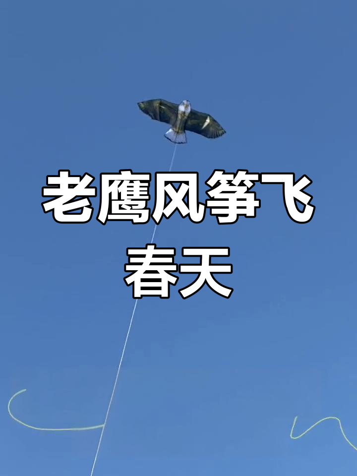 春日微风中的仿真老鹰风筝,轻松飞翔!