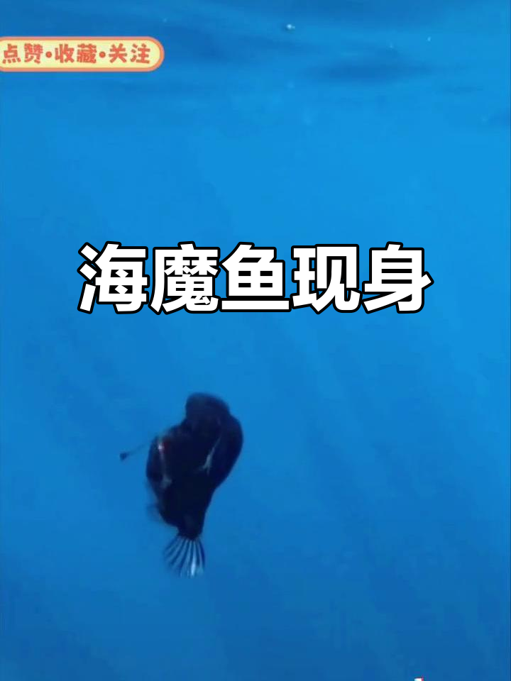 首次捕捉海魔鱼视频,它迅速消失在深海中